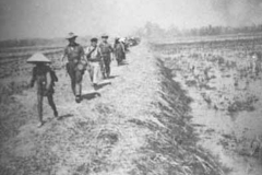 Combat-diguette