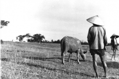 indo18