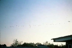 07-2ème-VAGUE-19-05-78